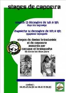 Stage capoeira Pau