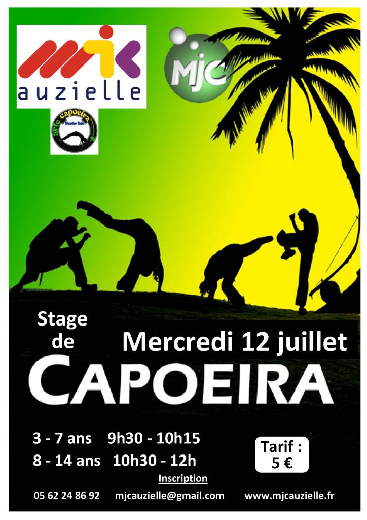 stage cours de capoeira auzielle 